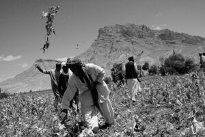 Wires Brief: Continued poppy reduction in Afghanistan; Saudi Arabia lobbying for F-35 sale