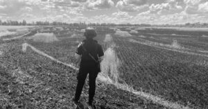 Wires Brief: Ukraine threatens sanctions on Israel over stolen wheat; UAE to leave OPEC on 1 May