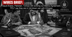 Wires Brief: Saudi Arabia, Pakistan, Türkiye still working out Mekka Agreement; TPLF say they are in full-blown war with Ethiopia 
